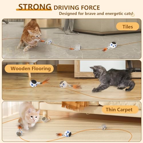 ORSDA-Cat-Toys-Interactive-Cat-Toys-for-Indoor-Cats-Automatic-Moving-Ball-Bird-for-Bored-Indoor-Adult-Cat-Kitten-Toys-Ball-Motion-Activated-Fast-Moving-Chirping-Stimulating-Light