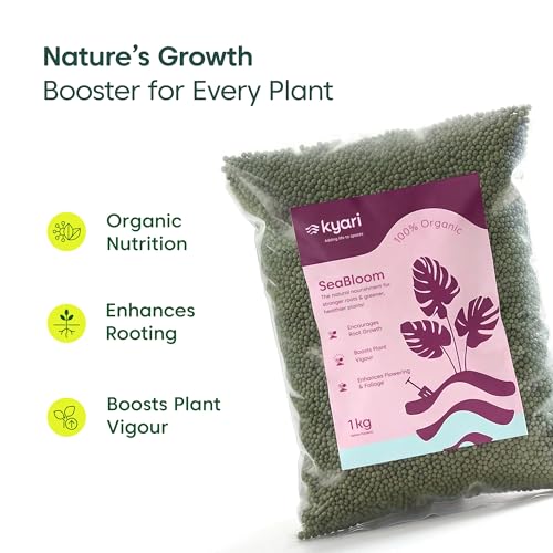 Image of Kyari Seaweed Extract Granules 1 KG - Organic Seaweed Fertilizer for All Plants, SeaBloom Plant Food for Indoor Plants, Outdoor Plants, Vegetables, Flowers & Home Garden