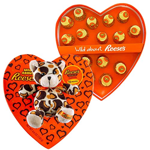 Heart Shaped Box with Mini Chocolate Peanut Butter Cups and Small Teddy Bear Stuffed Animal Plush, Valentine's Day Chocolates, Individually Wrapped Candy, 4.6 Ounces