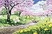 SUPERPOWER® Belle 1000 pièces Rose Fleurs de cerisier des arbres Printemps Tourisme Paysage Peinture à l'huile Adultes Jeux Enfants Jouets éducatifs Puzzles en bois pour Cadeaux d'anniversaire de Noël