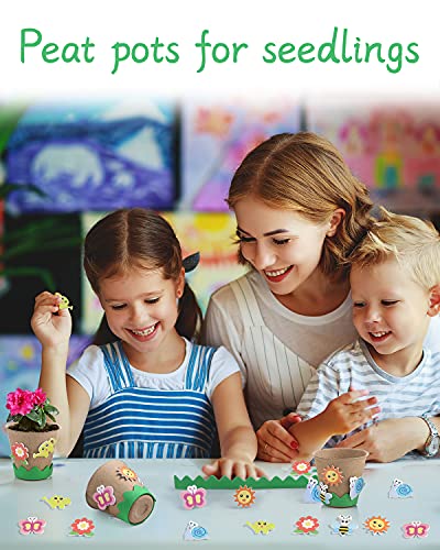 Ayfjovs Garden Paper Pot Craft Kit 15 Pack Flower Plant Summer Craft With 105 Pcs Adhesive Foam Stickers And 15 Pcs Paper Mache Pots, Flower Planting Growing Kit Science And Garden Gift For Kids #TOP3