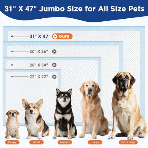 BESTRIPES Dog Pee Pads Extra Large 31"x47" - XXL Disposable Puppy Potty Training Pads for Dogs, Heavy Duty 6-Layer Leak-Proof, Super Absorbent & Quick-Dry, 20 Count by BESTRIPES - Used condition - Image 9