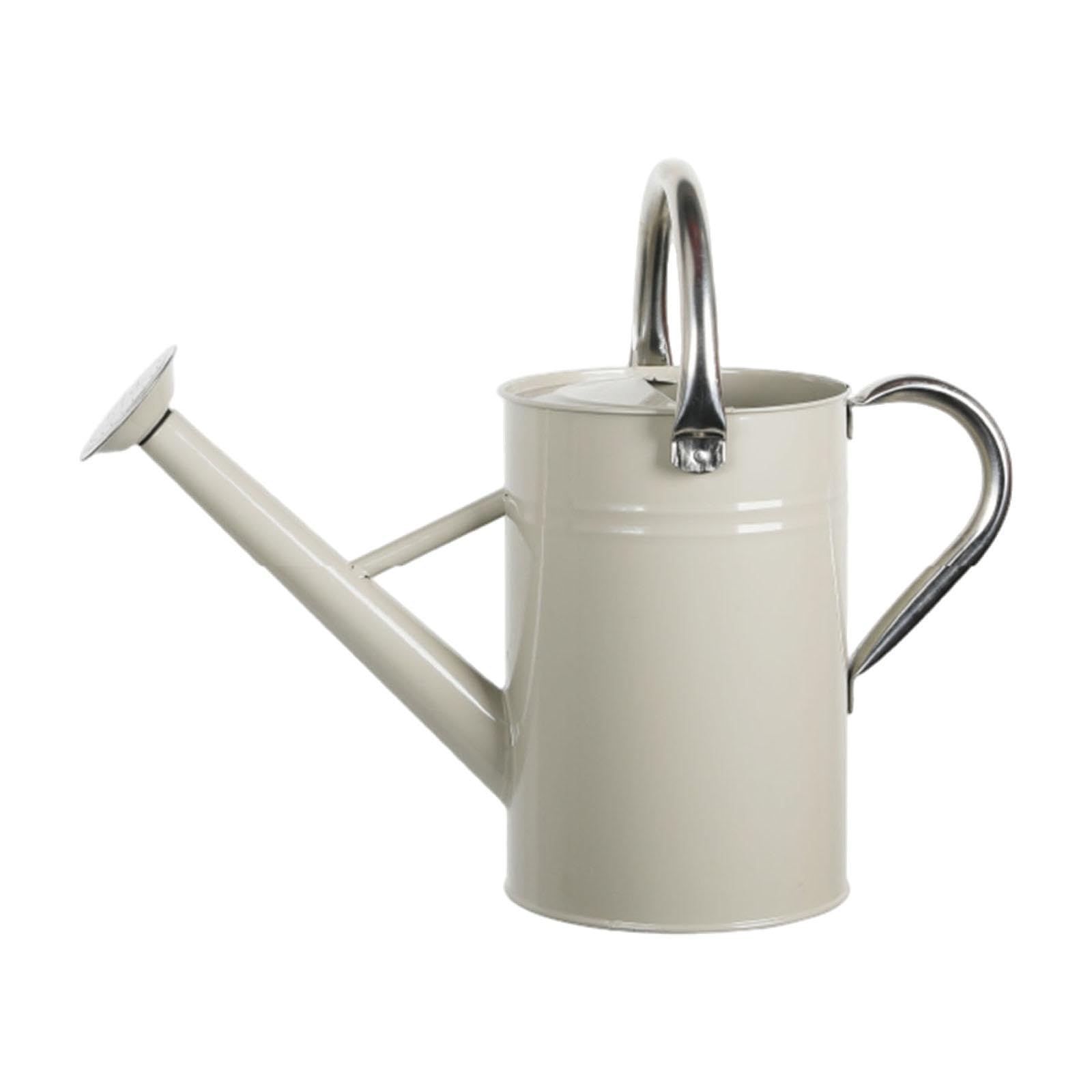 Baoblaze 5L Gießkanne für Pflanzen, Gartengießkanne mit Abnehmbarem, Pflanzengießkanne mit Großer Griff aus Edelstahl, Großem Fassungsvermögen, Feiner Sprüher, für Zimmer- und Außenpflanzen, Weiß