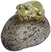 Top Collection Miniature Fairy Garden and Terrarium Statue, Sleeping Cute Frog on Stone