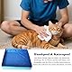 Hundepool, Planschbecken Faltbare für Hunde & Katzen, 50x50x10 cm Eckig Katzenpool, Hundebadewanne, Planschbecken ohne Aufblasen für Haustiere, Klappbar Schwimmbecken für Kleine Hunde & Katzen (A)