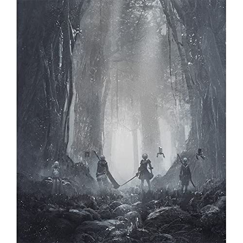その他 NieR:Theatrical Orchestra 12020 NIER:THEATRICAL ORCHESTRA 12020 BLU-RAY | SQUARE ENIX Store