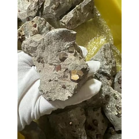 Natural Pyrite Mineral Teaching Specimen Raw Rough Healing Stone Irregular Healing Energy Chakra Reiki Crystals Decor Collection Gift (0.5-0.8 Pounds) (Pyrite Mineral Specimen) Cover