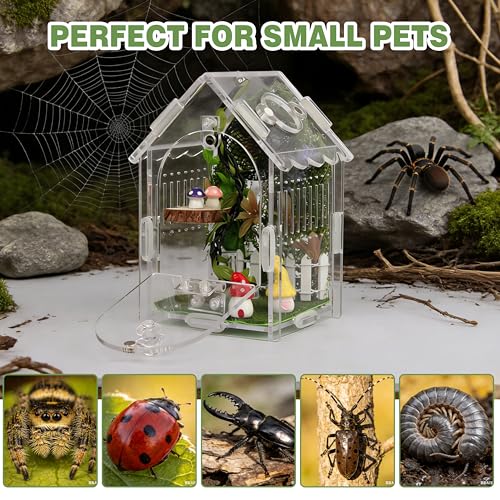 Image of 15pcs Jumping Spider Enclosure Kit with Decor Set | Scratch-resistant acrylic, 1mm vent, magnetic lock, includes 15 decor pieces for spider, mantis, tarantula