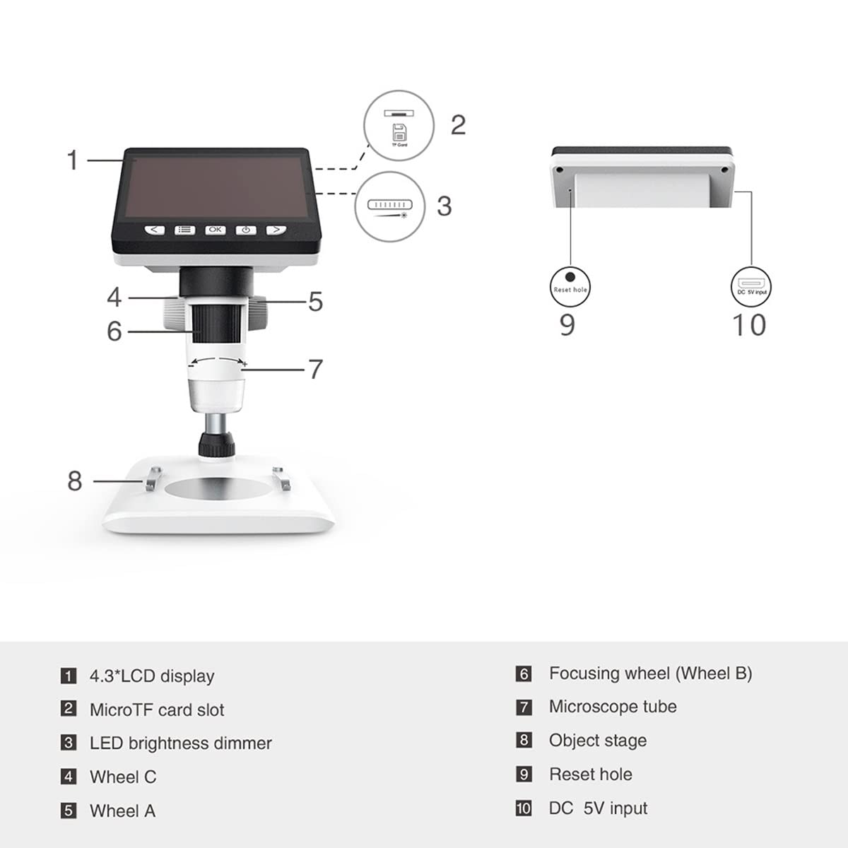 Microscopio digital 1080P, microscopio USB con aumento de 50X-1000X y 8 luces LED ajustables para monedas y otras visualizaciones detalladas
