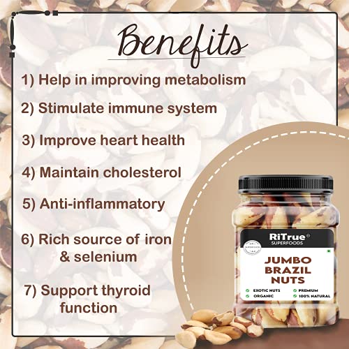 Image of RiTrue - Exotic Brazil Nuts - 250 Gm - Brazilian Nut Organic | Raw | Rich Source of Selenium Protein Rich - Imported from Peru
