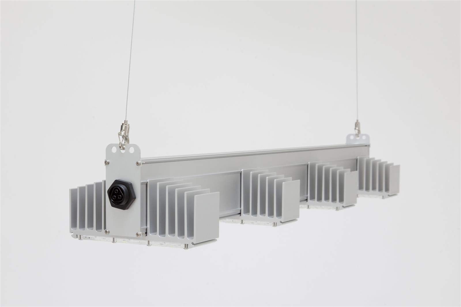 sanlight Q4WL LED-Modul S2.1 Gen2 (165W) : Amazon.de: Beleuchtung