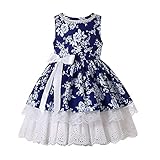 Este vestido para niñas es elegante y bonito, el dobladillo con volantes y volantes le da un punto de diseño único, diseño floral vintage y encaje clásico, nunca pasa de moda.