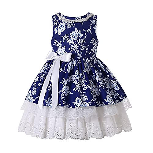Pettgirl Kids Girls Elegant Navy Lace Ruffle Holiday Clothing Child Fashion Floral Fancy Pageant Boutique Dresses