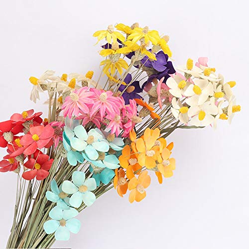 12 Flores Naturales Secas Decorativas para Hogar Boda miniatura 2