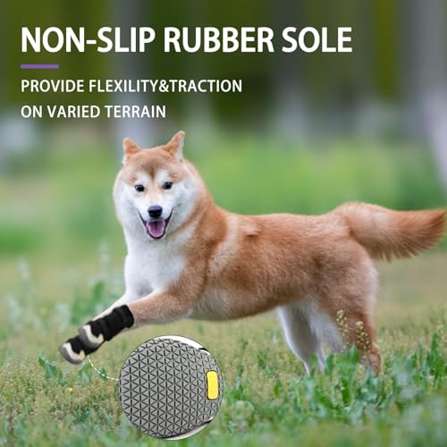 Hundeschuhe Pfotenschutz [4 Stück], Wasserabweisend & Atmungsaktiv, rutschfeste Sohle & Reflektierender Klettverschluss - Für Klein/Mittel/Großhunde | Hochschaftige Outdoor Hundestiefel (6#)