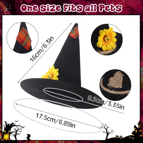 Set de disfraz de espantapájaros para perros Skicuff 3 piezas miniatura 2