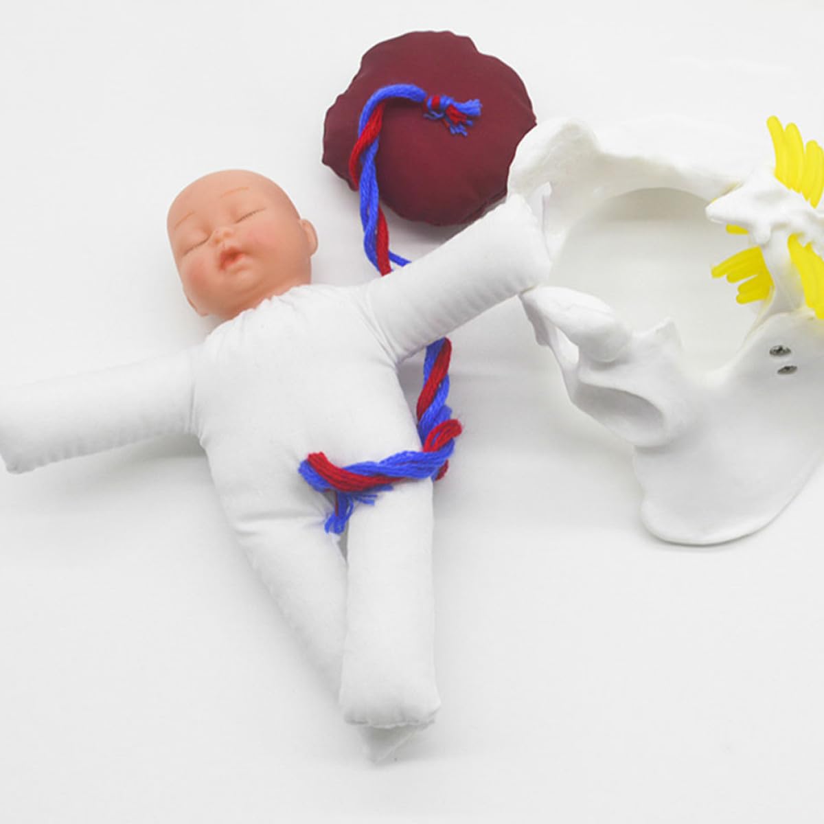 Operitacx Modèle Outil Polyvalent Cordon Ombilical et Placenta de Simulation D'accouchement en Pvc Fœtus Détaillé pour Formation Prénatale et Éducation Médicale