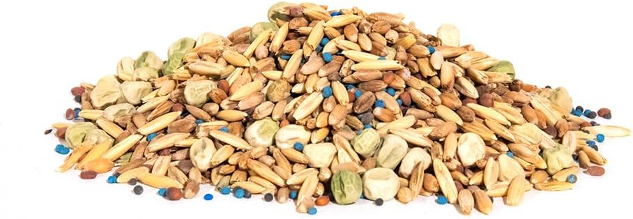 Whitetail Institute Destination Deer Food Plot Seed, Annual Forage Seed Blend is Highly Palatable to Deer for Excellent Early and Late Season Attraction, 9 lbs (.25 Acre)