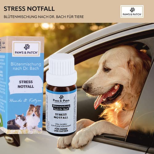 Beruhigungsmittel für Katzen Paws & Patch Stress Notfall Blütenmischung