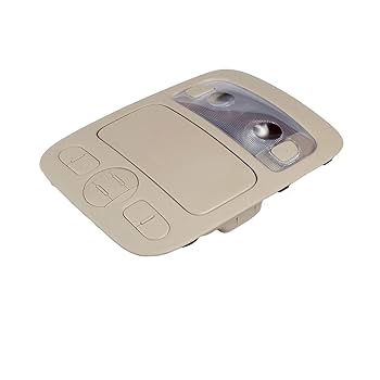 Amazon.com: Genuine OEM 92810-4D000-TW Overhead Console Lamp