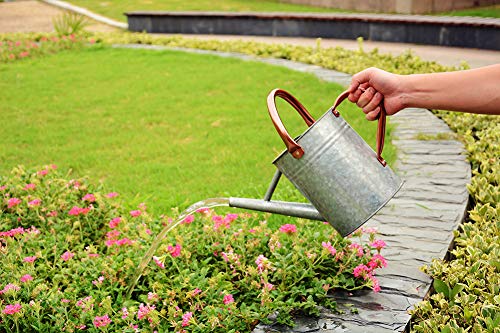 Yourjoy Metal Watering Can, One Gallon Watering Cans Stainless Steel For Outdoor Indoor Garden Plants Watering (1 Gallon Silvers) #TOP5