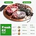 Upgraded Vacuum Sealer Machine,Joerid Vacuum Sealer for Food Save, Automatic Vacuum Air Sealing System with Dry&Moist Modes Led Indicator Lights& Started Kit for Home&Commercial