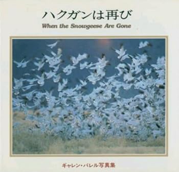 Hardcover When the Snowgeese Are Gone (English and Japanese Edition) Book