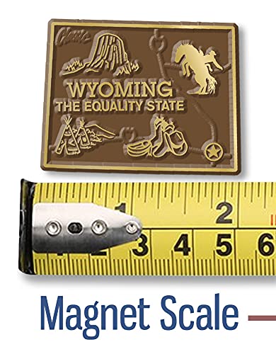 Imán decorativo pequeño de Wyoming de goma miniatura 2
