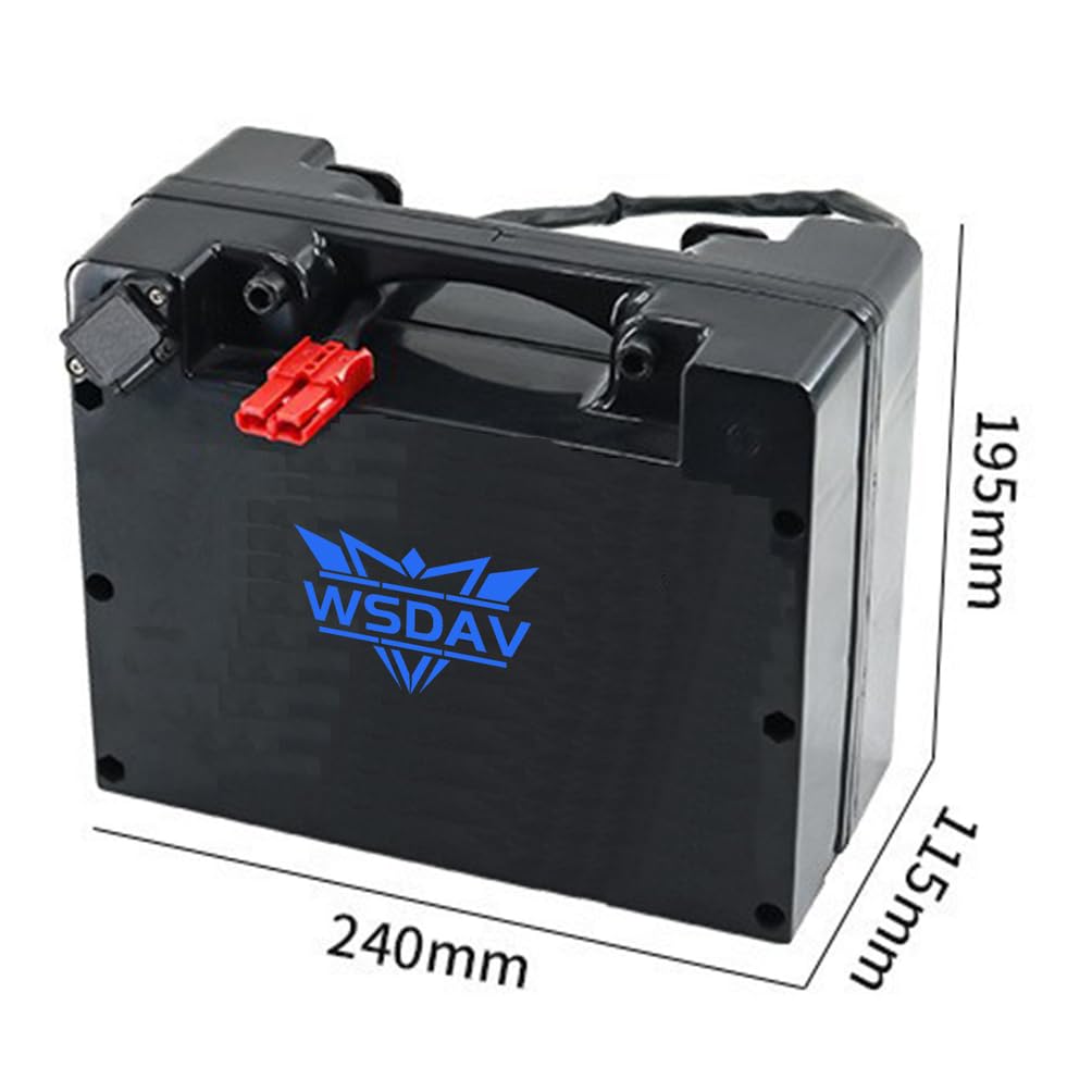 Batería para Silla de Ruedas eléctrica de 24 V LiFePO4, 24 V, 15 Ah, 20 Ah, 25 Ah, 30 Ah, 35 Ah, 40 Ah, 45 Ah, 50 Ah, 60 Ah, con Cargador.
