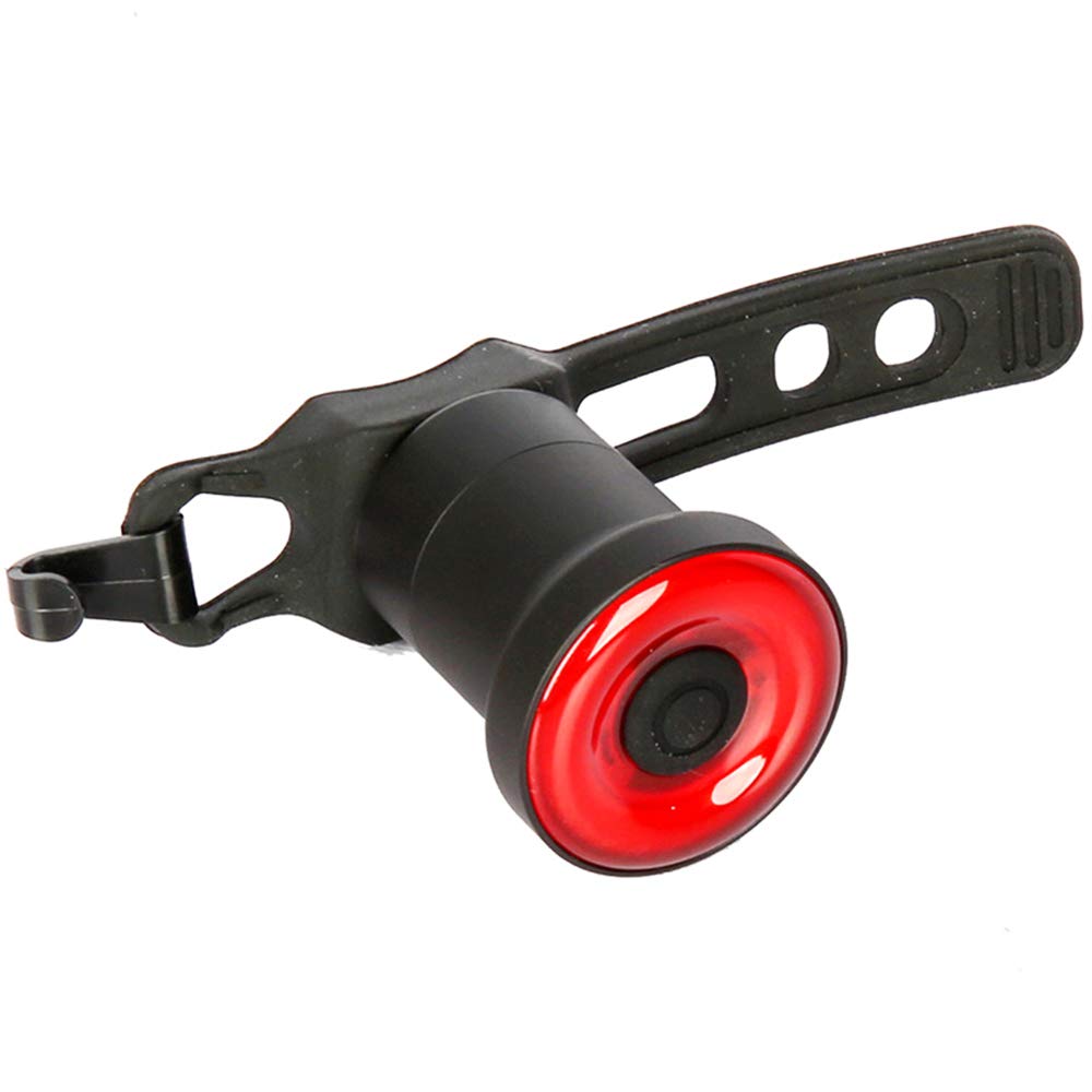 Fanale Posteriore per Bicicletta,Fanale Posteriore di Allarme Intelligente,Fanale Posteriore Impermeabile,Ricarica USB,Fanale Posteriore a LED