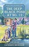 Deep Black Pond At No. 12: Tammy and Jake Learn About Health and Sickness (Tales from Canterbury Place)