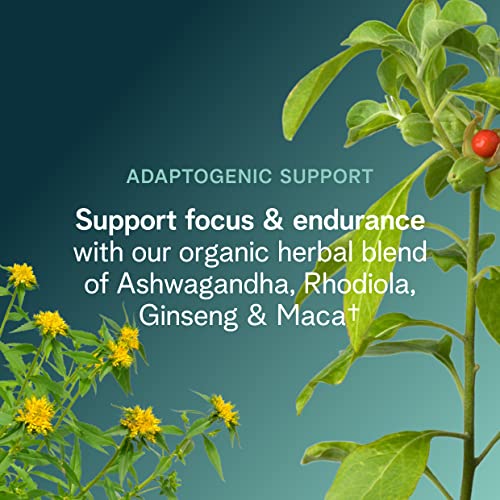 Ora Organic 1155P Natural Pre Workout Powder - Raspberry Lemonade Flavor- Provides Jitter Free Energy, Focus, Hydration, & Endurance - Vegan thumb #4