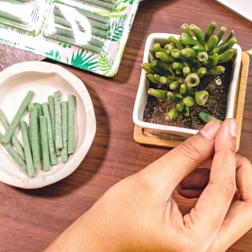 Image of Slow‑Release Plant Food Fertilizer Sticks - 50 Sticks for Indoor & Outdoor Plants - Nutrient-Rich, Mess-Free Growth Booster