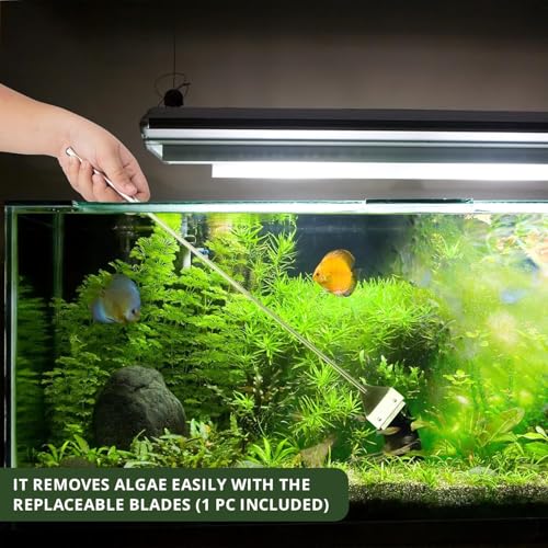 Image of VAYINATO Stainless Steel 45cm Long Handle Algae Scrapper with Stainless Steel Blade for Aquarium Fish Tank by Petzlifeworld