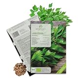 BIO Liebstöckel Samen - Küchenkräuter Saatgut aus biologischem Anbau ideal für den heimischen Kräutergarten, Balkon & Garten (50 Korn)