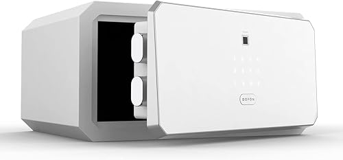 Caja de seguridad biométrica BOFON con llave, caja de seguridad, contraseña de huella dactilar, cajas de seguridad para el hogar, serie W, 1.45 pies