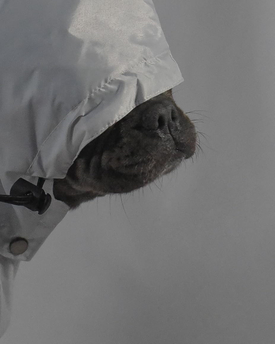 Premium Dog Raincoat Hooded Adjustable Drawstring, Removable Hood, Stylish Waterproof Windproof Rain Jacket White Small Medium Dogs Lightweight Durable (M: Neck=12-14''/Chest=15-18.5''/Back=13-16")