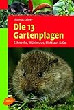  Die 13 Gartenplagen: Schnecke, Wühlmaus, Blattlaus & Co.