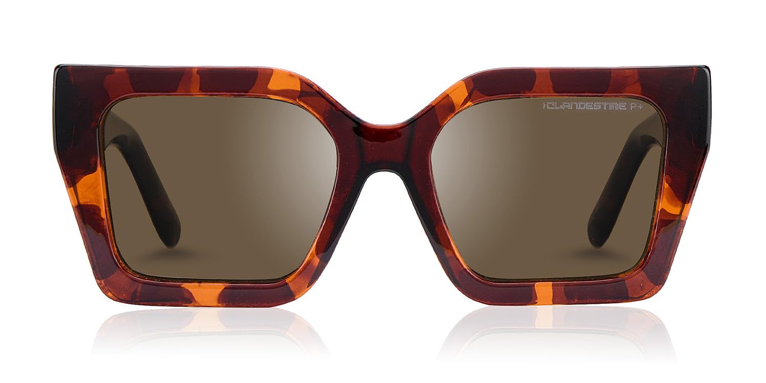 CLANDESTINE - Gafas de Sol Unisex - Colección Loop - Modelo Tremezzo - Montura de Acetato Color Habana - Lentes de Nylon Polarizado de Color Marrón - Protección UV 400