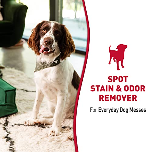 Image of Nature's Miracle Dog Stain and Odor Remover, Everyday Mess Enzymatic Formula, Melon Burst Scent, 32 oz