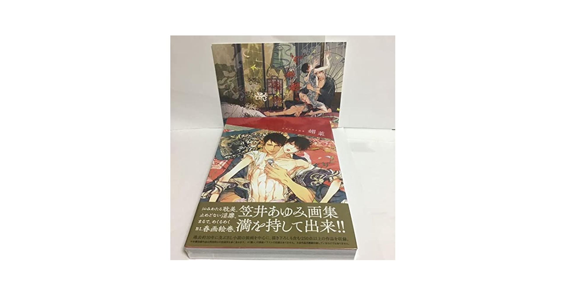 新品　初版　媚薬 笠井あゆみ画集　アニメイト限定イラストカード付 新品 初版 媚薬 笠井あゆみ画集 アニメイト限定イラストカード付