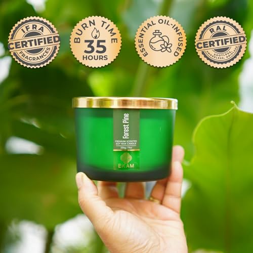 Image of EKAM 3 Wick Soy Wax Scented Candle | Forest Pine Fragrance | 35 Hr Burn | Long Lasting Premium Jar Candle for Home Decor, Relaxation & Gifting