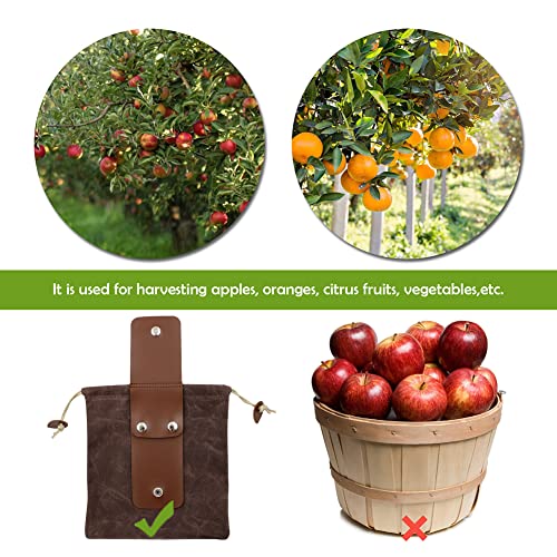 ASENIE Foraging Bag Waxed Canvas Collapsible Outdoor Camping Foraging Pouch Mushroom Storage Water Resistant Leather Bushcraft Belt Tinder Dump Pouchs Brown for Travel Camping Hiking Bag Only (Brown) 3 ASENIE Foraging Bag Waxed Canvas Collapsible Outdoor Camping Foraging Pouch Mushroom Storage Water Resistant Leather Bushcraft Belt Tinder Dump Pouchs Brown for Travel Camping Hiking Bag Only (Brown) - Image 3