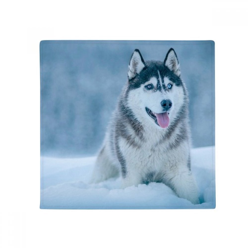 Tapis de sol Husky de Sibérie décoration multicolore pour salon