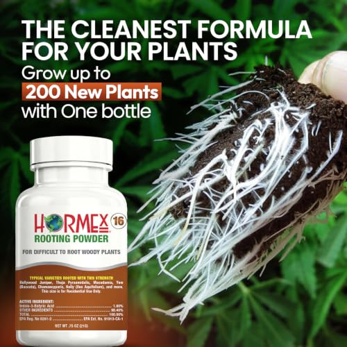 Hormex Rooting Hormone Powder #16 - Fast Roots for Hardwood Plant Cuttings Detail