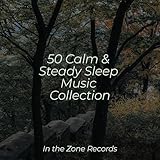 In the Zone Records
