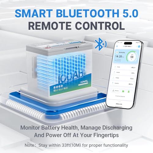 Image of Redodo 12V 100Ah Group 24 LiFePO4 Lithium Battery Bluetooth for RVs