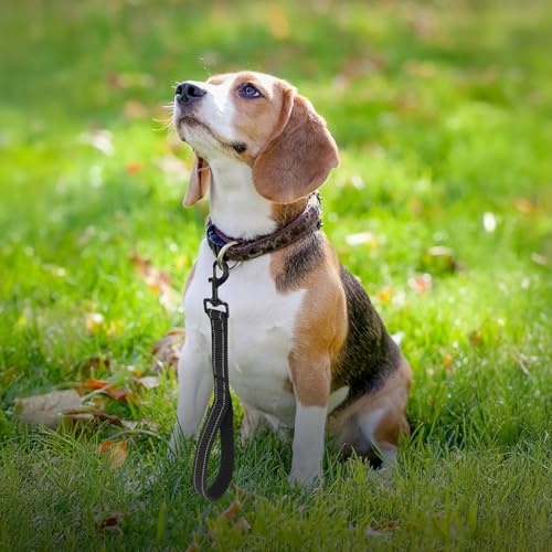 38 cm Hausleine für Hunde, Hundeleine Kurz Trainingsleine mit Gepolstertem Griff und 360° Drehbarer Metallclip Schwarz Kurzführer für Große Mittlere Kleine Hunde Schwarz