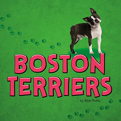 Boston Terriers by Allan Morey episode artwork
