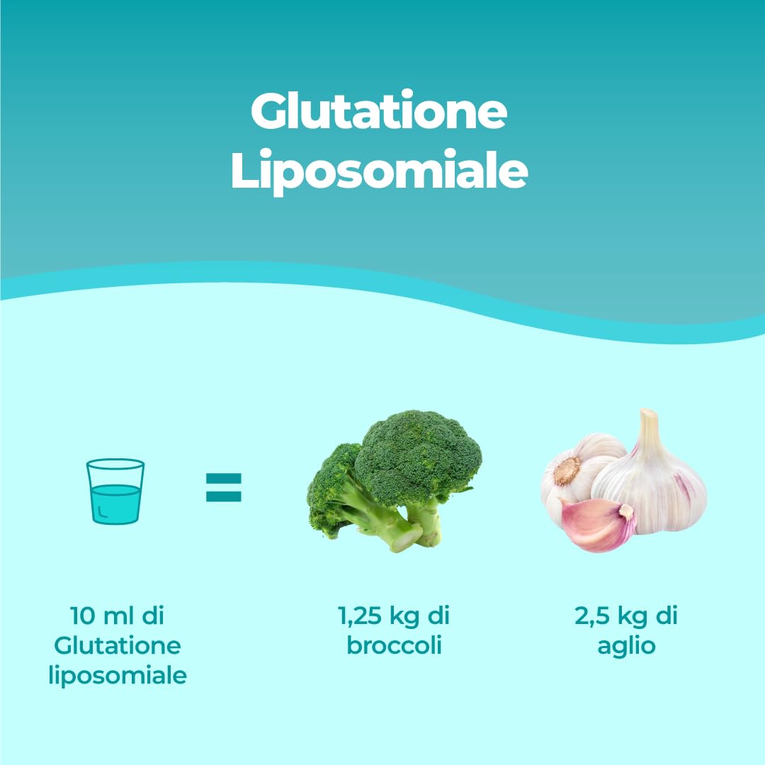 Bandini® Glutatione Liposomiale 250ml | 250mg di L-Glutatione Setria Ridotto e Bioattivo da Fermentazione per Dose | Antiossidante, Anti Invecchiamento, Contrasta i Radicali Liberi | Senza OGM, Vegan